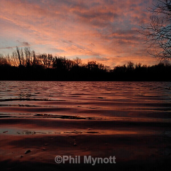 PhotoMynottART061 - Photo Mynott ART Images