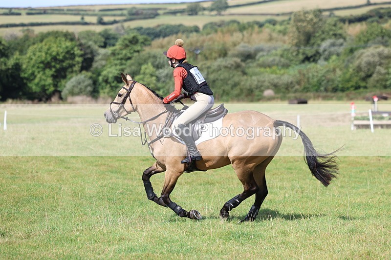 3E7A6667 - Class 1: Trebudannon Open: Pheasant Feeder