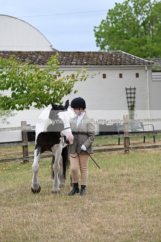 WJ6_8335 - Class 10 Coloured in Hand