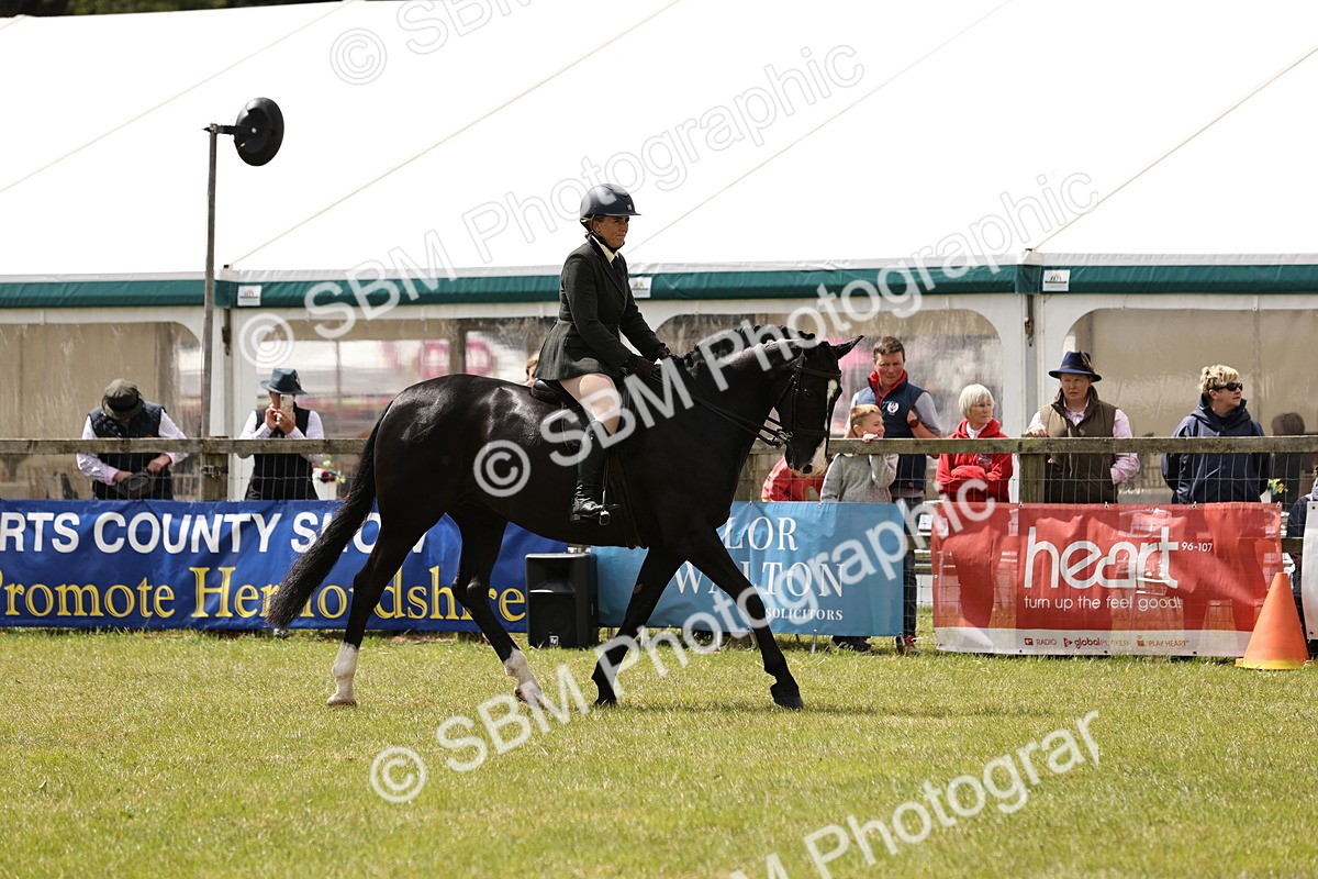 SBM_14576 - Class 88-89 - LIHS BSHA Rising Star of Ridden Hunter Type