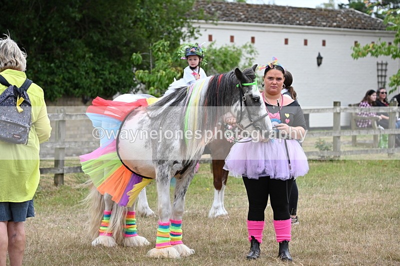 WJ6_9140 - Class 11 Fancy Dress