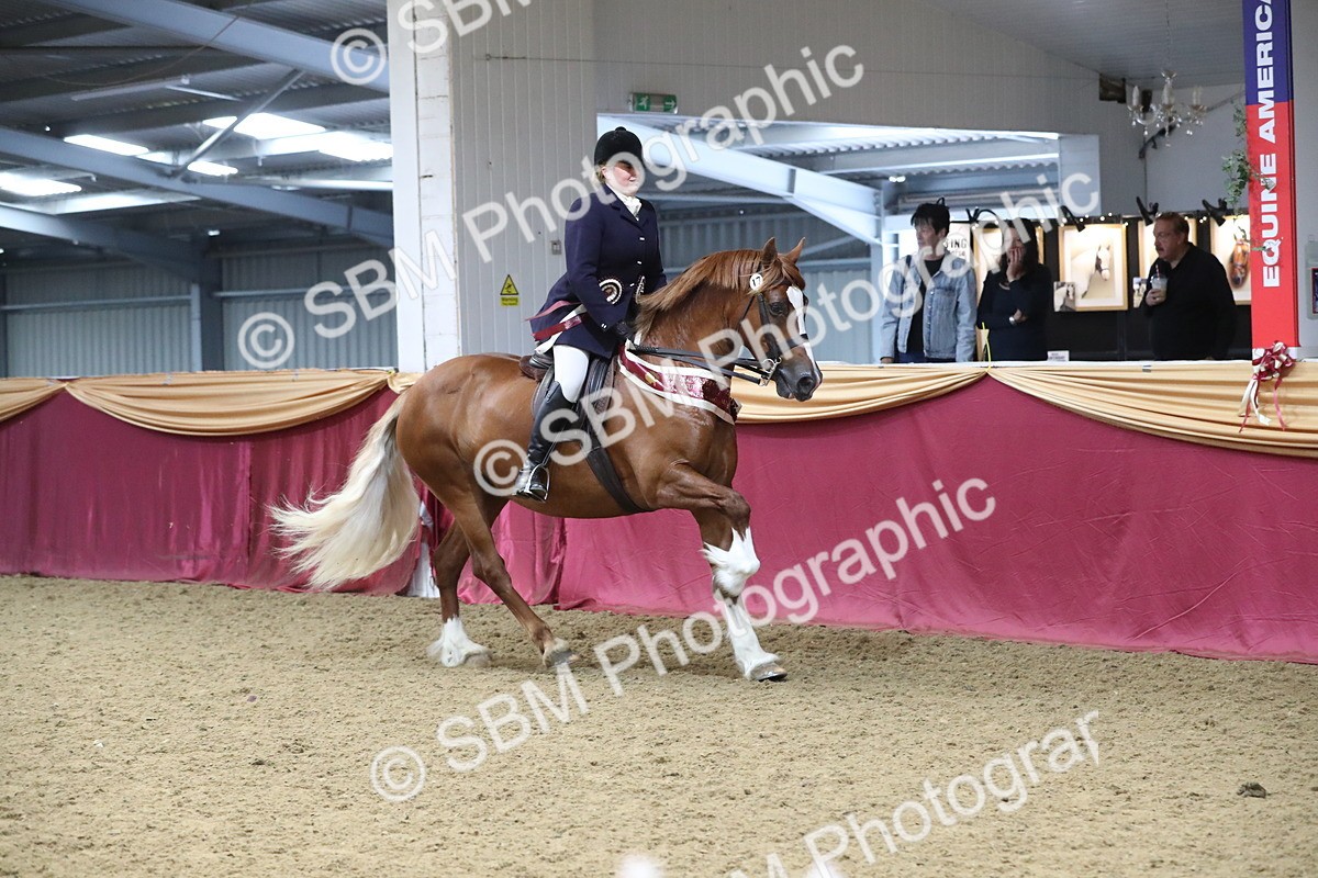 SBM_16545 - Class 502 M&M Ridden Supreme Final