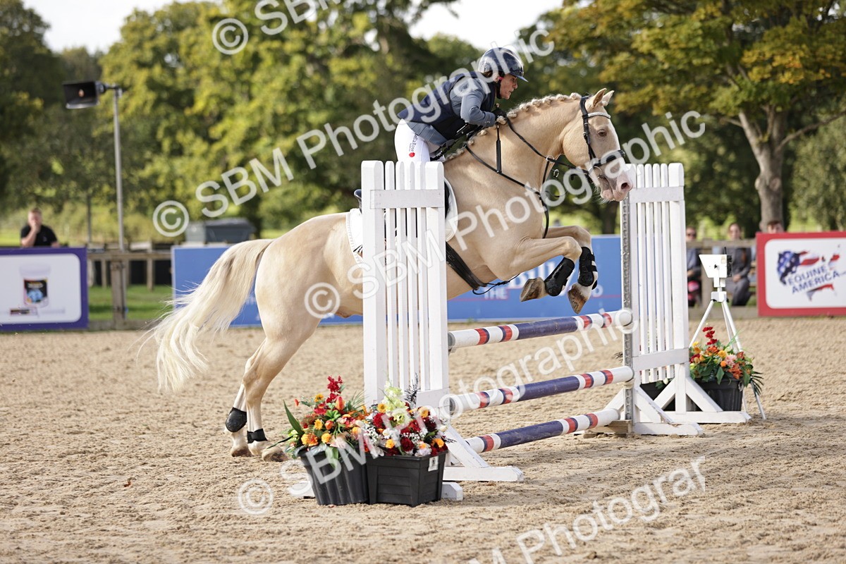 SBM_16561 - J33 - Senior 75cm Championship