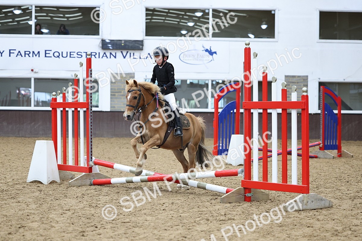 SBM_006926 - Class 1 - 40cm showjumping