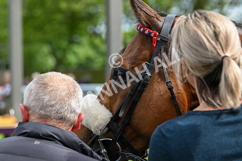 290524-Race 4-Makeen-6239 - Race 4