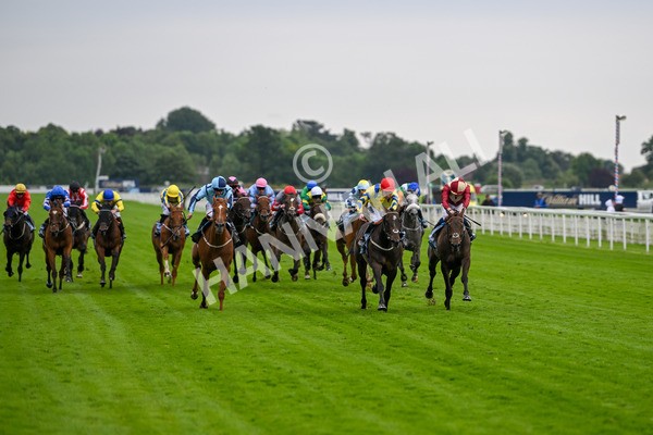 120724-Race 4-Karmology-6110 - Race 4 3.50pm Azets Handicap