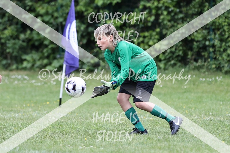 1DX31237 - Brook Field V Goddard Park
