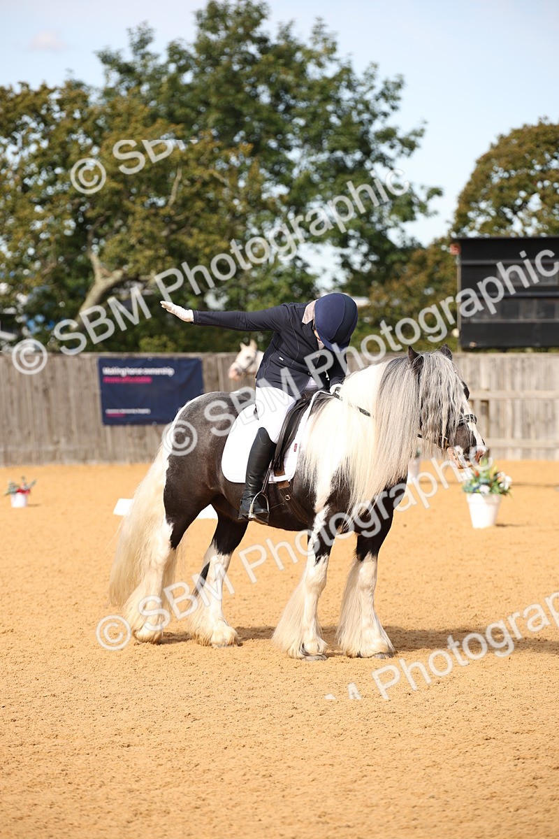 SBM_21774 - D5 - Small Tour Championship - Intro C