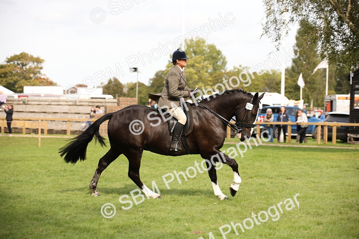 SBM_70411 - S66 - Hunter Ridden