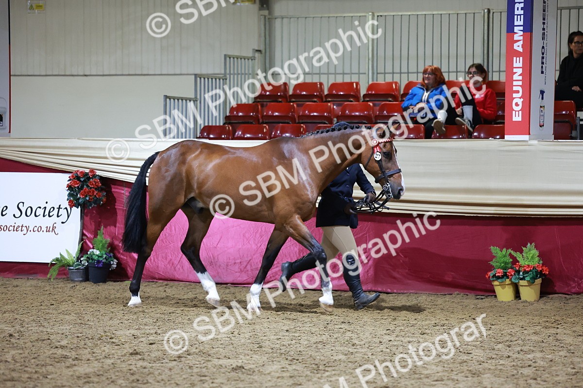 SBM_21509 - Class V - Champion of Champions