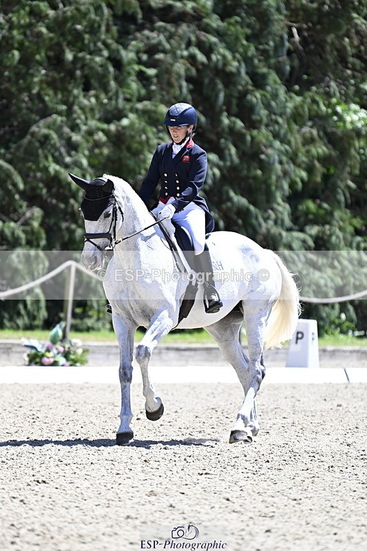 250522A-135218-04184 - D-401-Laura.Collett-HESTER