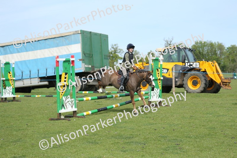 20260426-1703 - Class 14 - Novice 60cm
