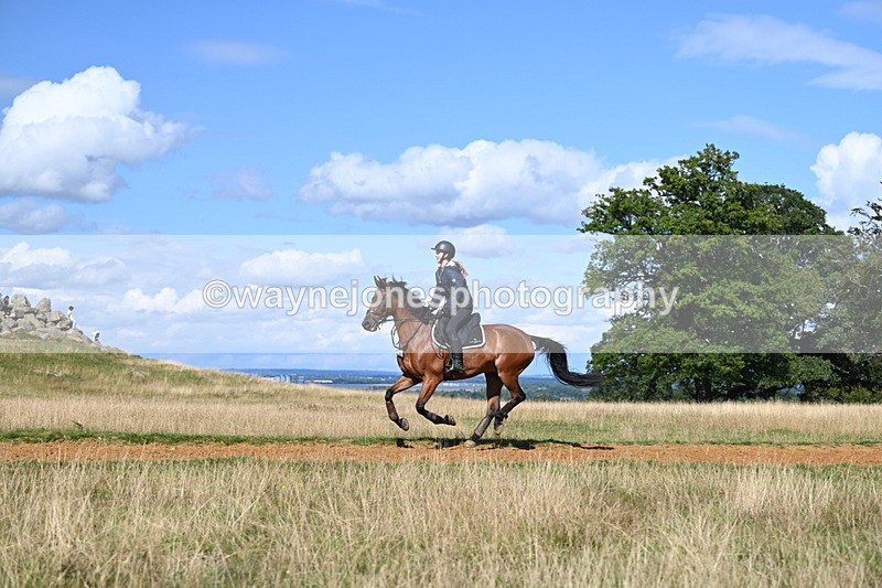 DSC_0066 - Time at Statue 15:11 to 15:58