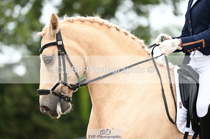 240815A-130214-01405 - 165-Louisa.Julie.Brend-Cynheidrefawr.gerwyn