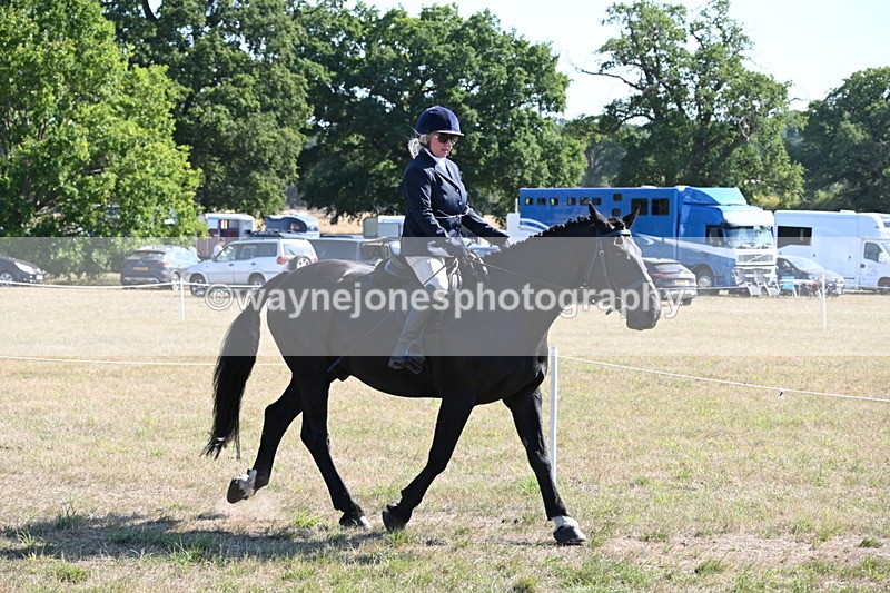 WJ6_7465 - Class 34 Judges Choice