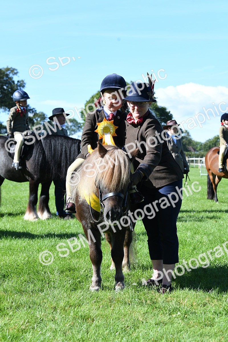 SBM_37035 - S18 - Novice & Newcomers Lead Rein Pony