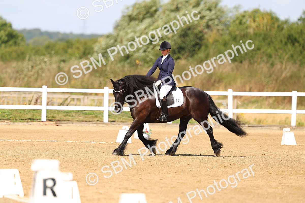 SBM_011615 - Class 1 - Prelim 19 - 10.50-11.46