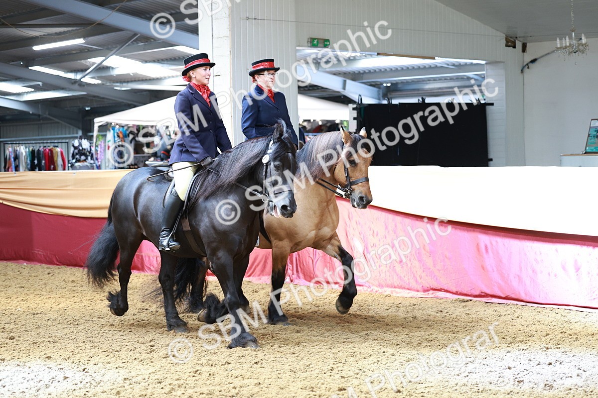 SBM_15480 - Class 109 - Ridden Pairs -Section A