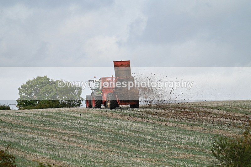 WJ7_4440 - Time 10:54 to 11:16