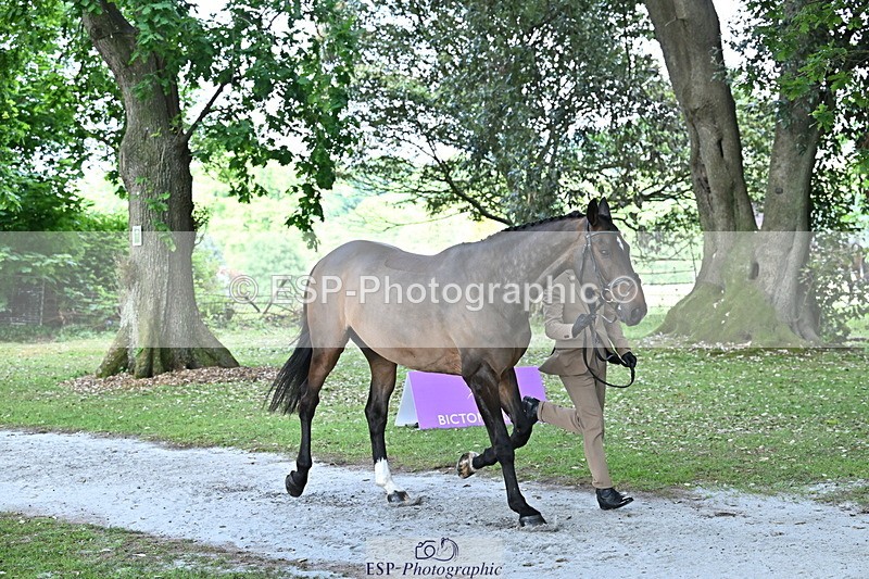 250521A-165450-01394 - C-270-Kento.Nagura-VINCI.DE.LA.VIGNE.JRA