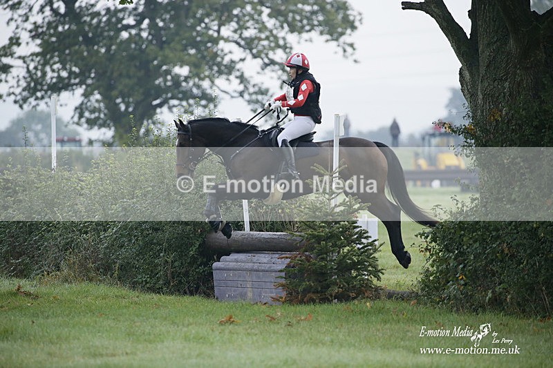 WWHT 171021 0113 - Novice Restricted (0.80m)  17/10/21