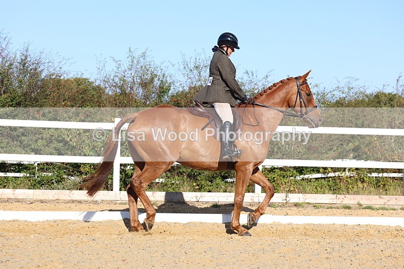 3E7A5172 - Class 7: Novice Ridden Hunter/Hack/RH/Cob