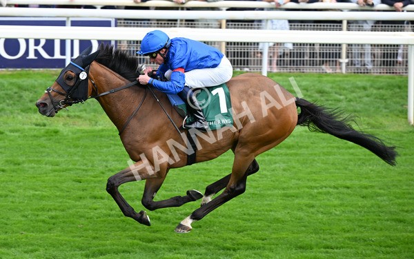 220825-069 Trawlerman - Race 2 2.25pm Weatherbys Lonsdale Cup Stakes