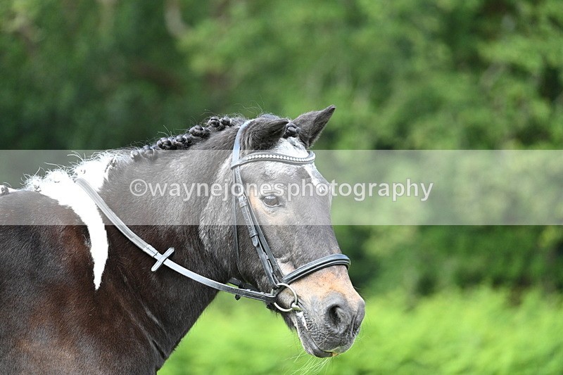 WJ7_1679 - Class 11 Condition & Turnout