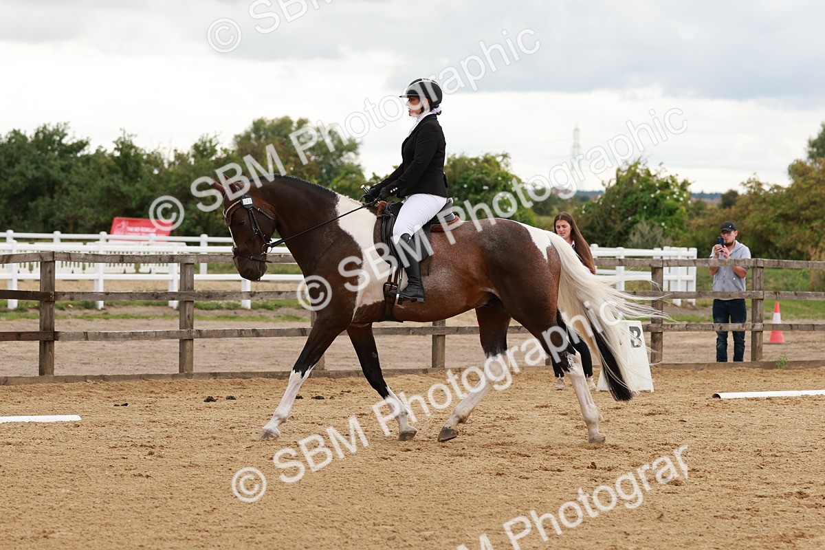 SBM_002770 - Novice 2