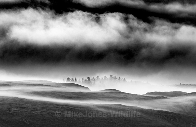 ISLE OF MULL LANDSCAPE - Latest projects, Cairngorms Deer, Boxing Hares, Landscapes...North Wales, Birds