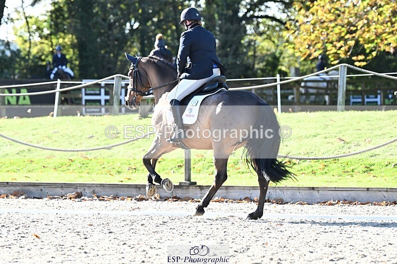 231110-123818-00741 - Cls 3 Novice 22