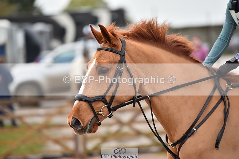 231112-144326-01370 - Cls 04 70 to 80cm