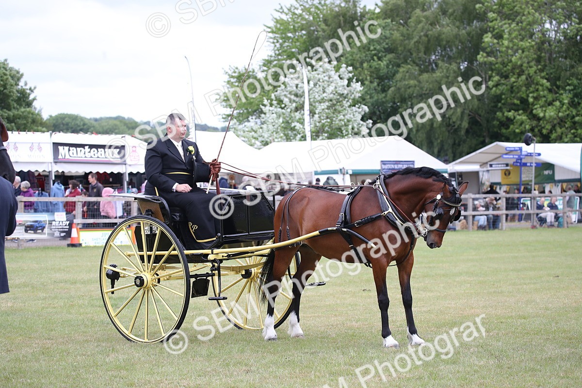 SBM_05790 - Class 12-15 - HOYS Private Driving
