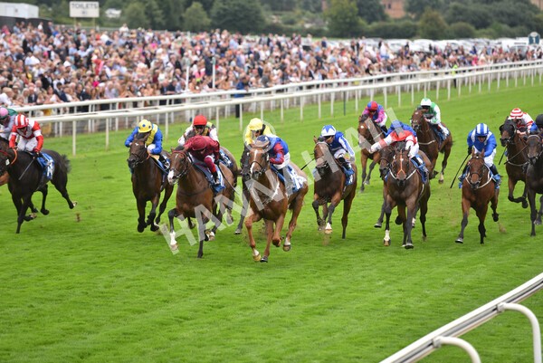 yr19082021r3-40 - Race 3 3.00pm Clipper Logistics Stakes