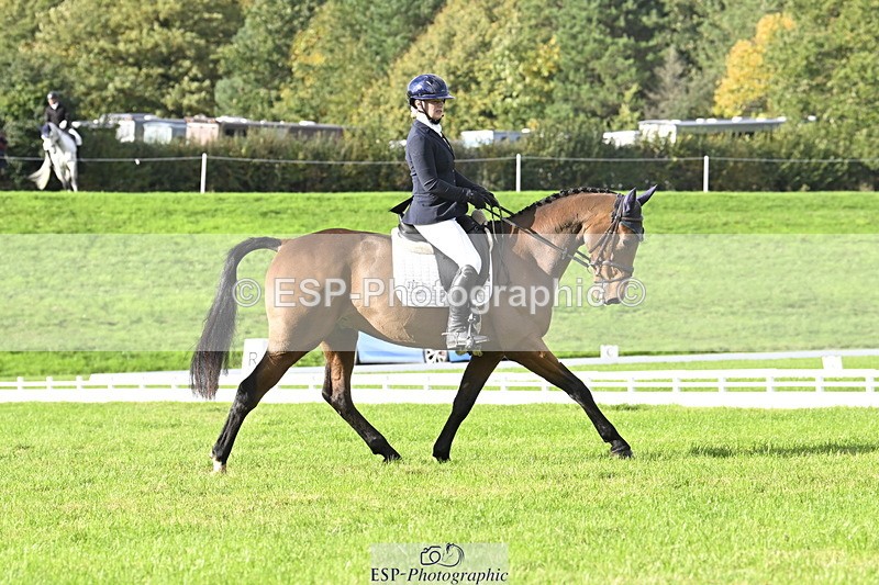 251023A-150801-04519 - E-386-Zara.Head