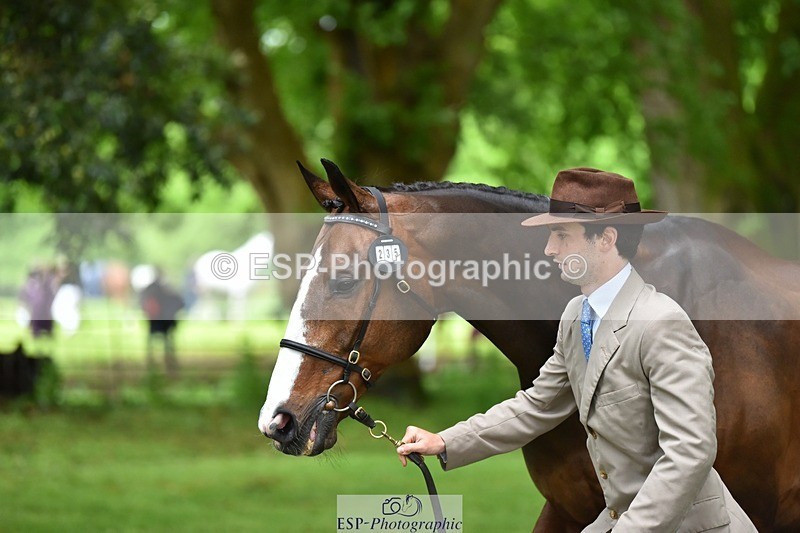 240522-170328-01353 - 235-GREENHALL_JAY-Henry_Hobby