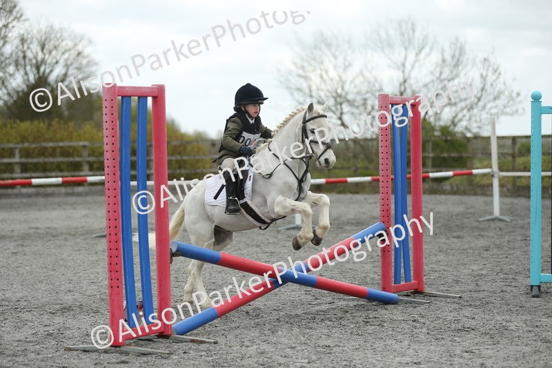 20260412-0654 - Show Jumping