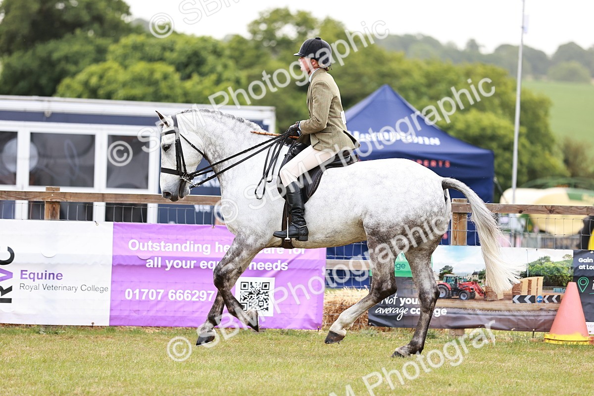 SBM_10772 - Class 81-84 - RIHS Ridden hunters Inc Ladies Hunter