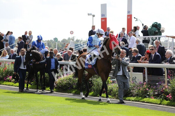 yr20082022r1-17 - Race 1 1.50pm Sky Bet & Symphony Group Strensall Stakes