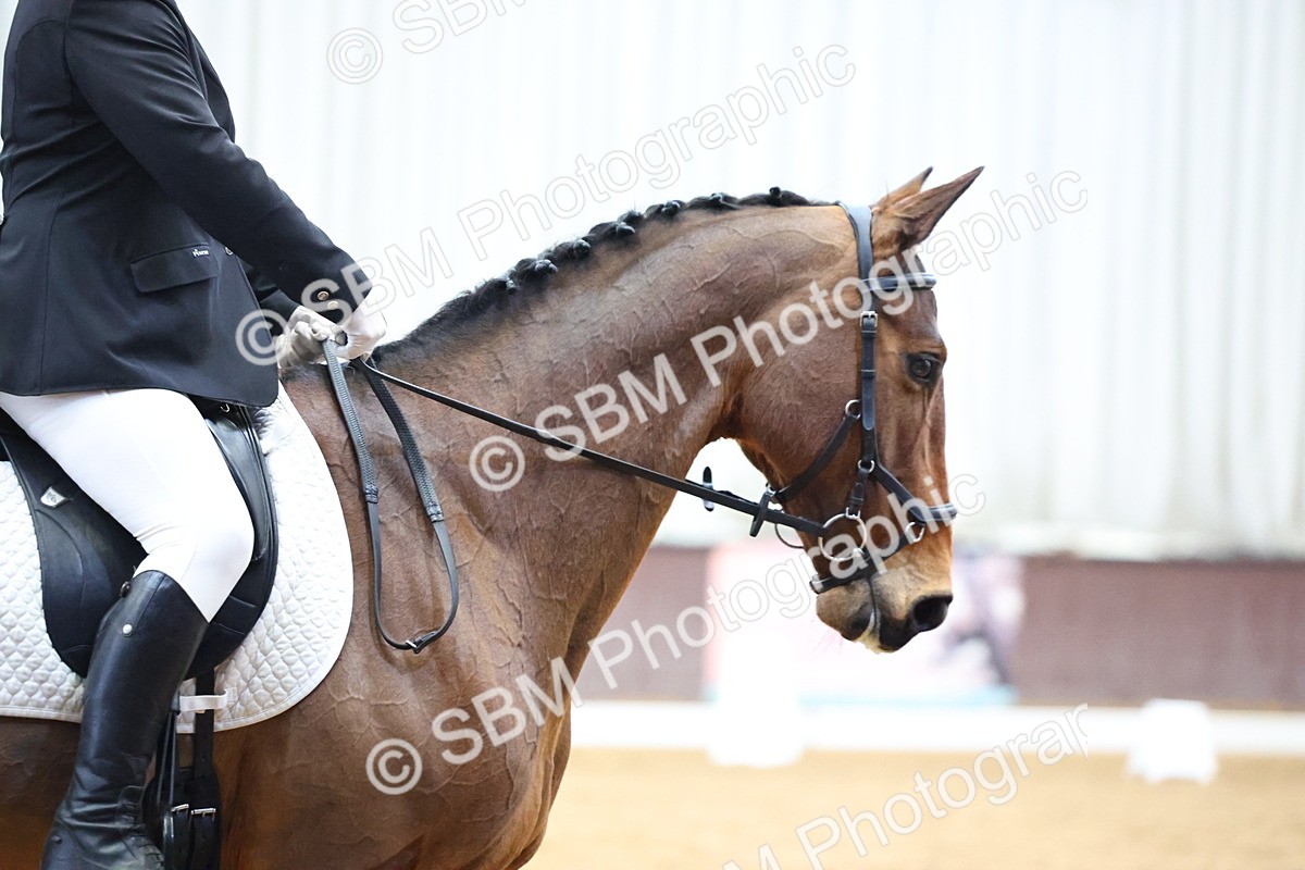 SBM_006893 - Class 17/14 - Novice & prelim FSM