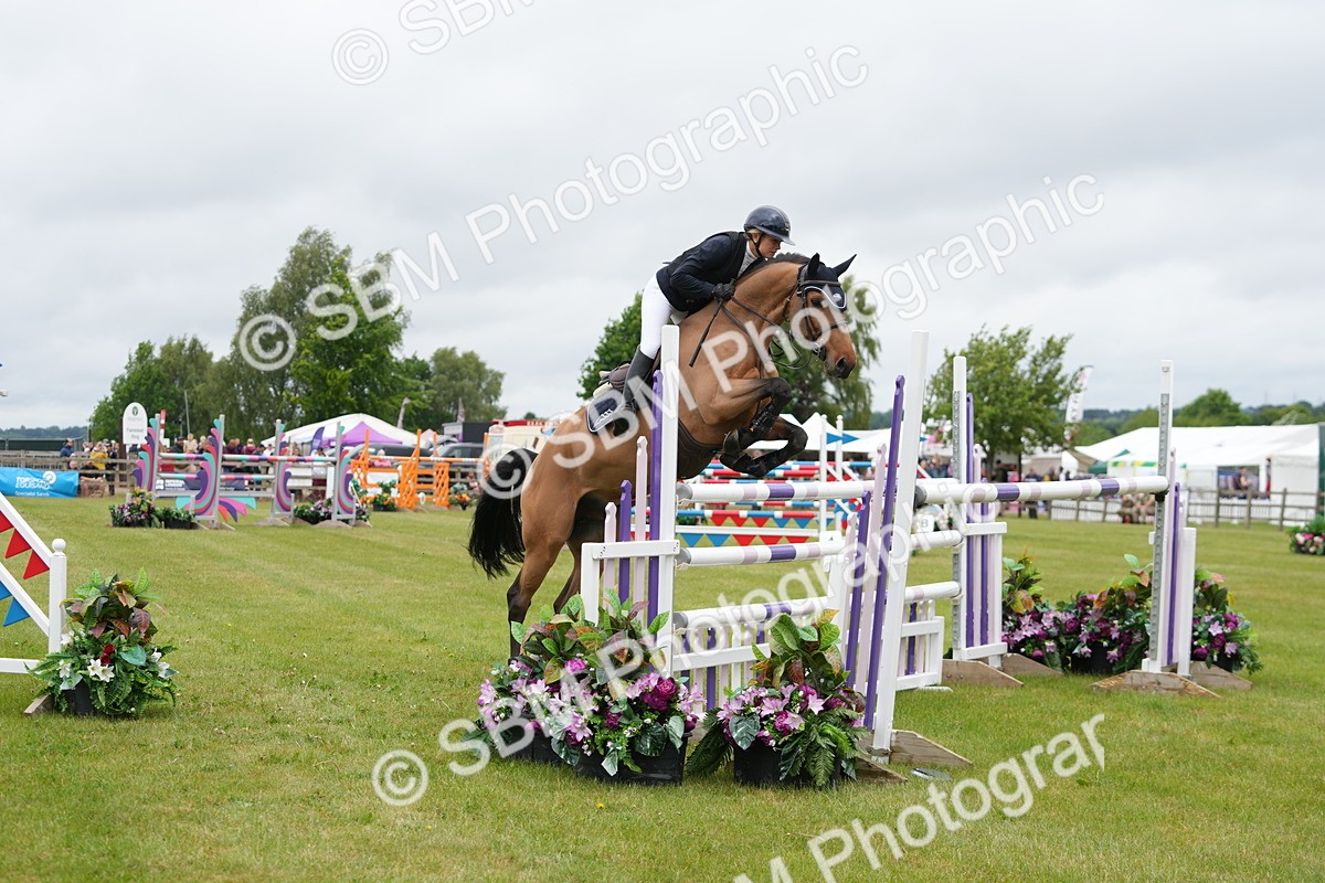 SBM_03370 - Class 201 - British Horse Feeds Speedi Beet Horse of the Year Show Grade  C