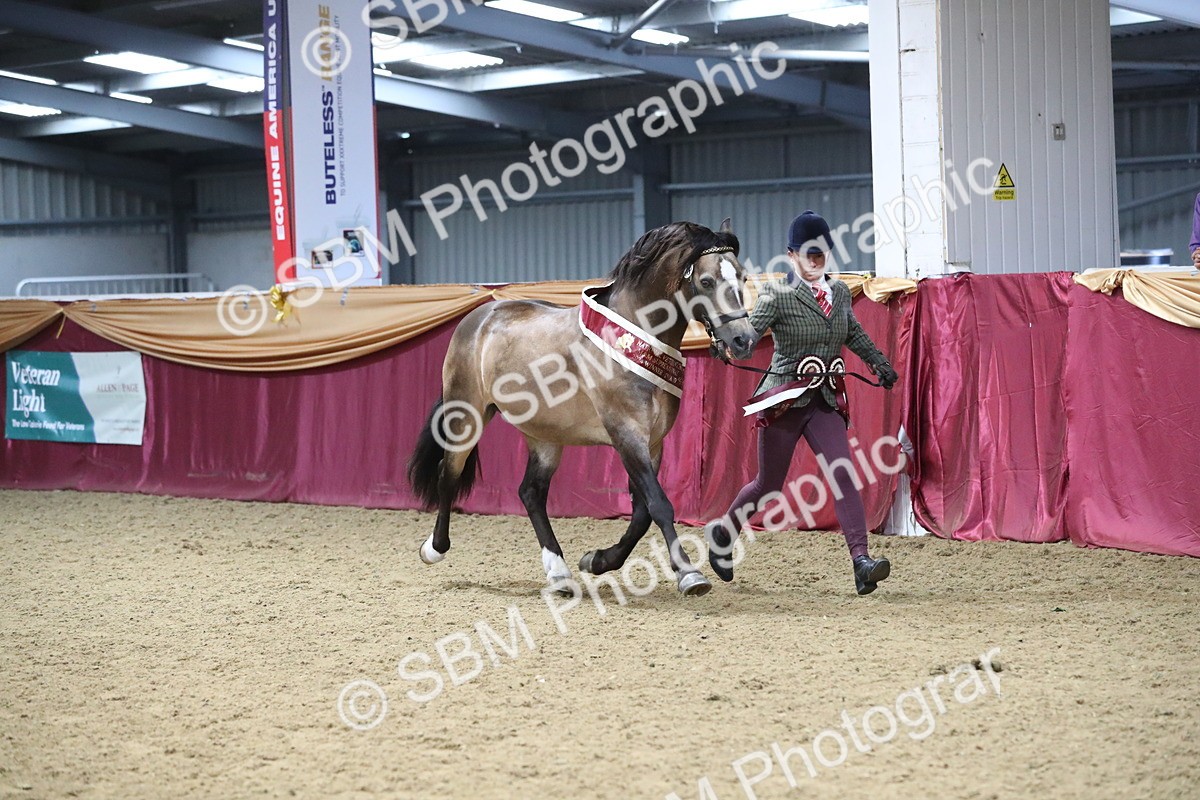 SBM_15456 - Class 501 M&M IH Supreme Final