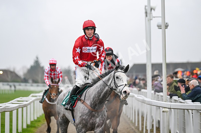 131224-Race 2-Caldwell Potter-8816 - Race 2