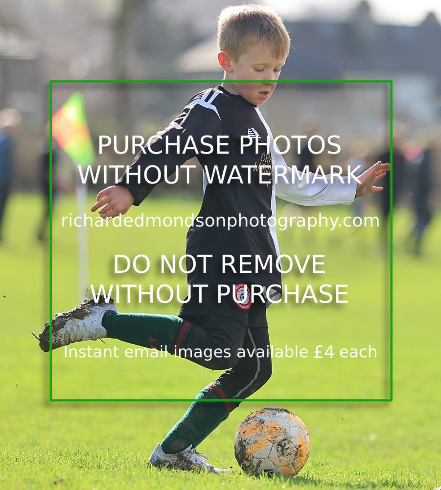 533A8172 - Craven Wanderers Under 8's (14/3/26)