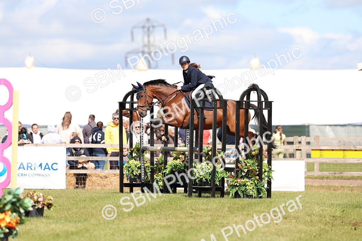 SBM_13544 - Class 206 - Senior Newcomers - 1.10m Open