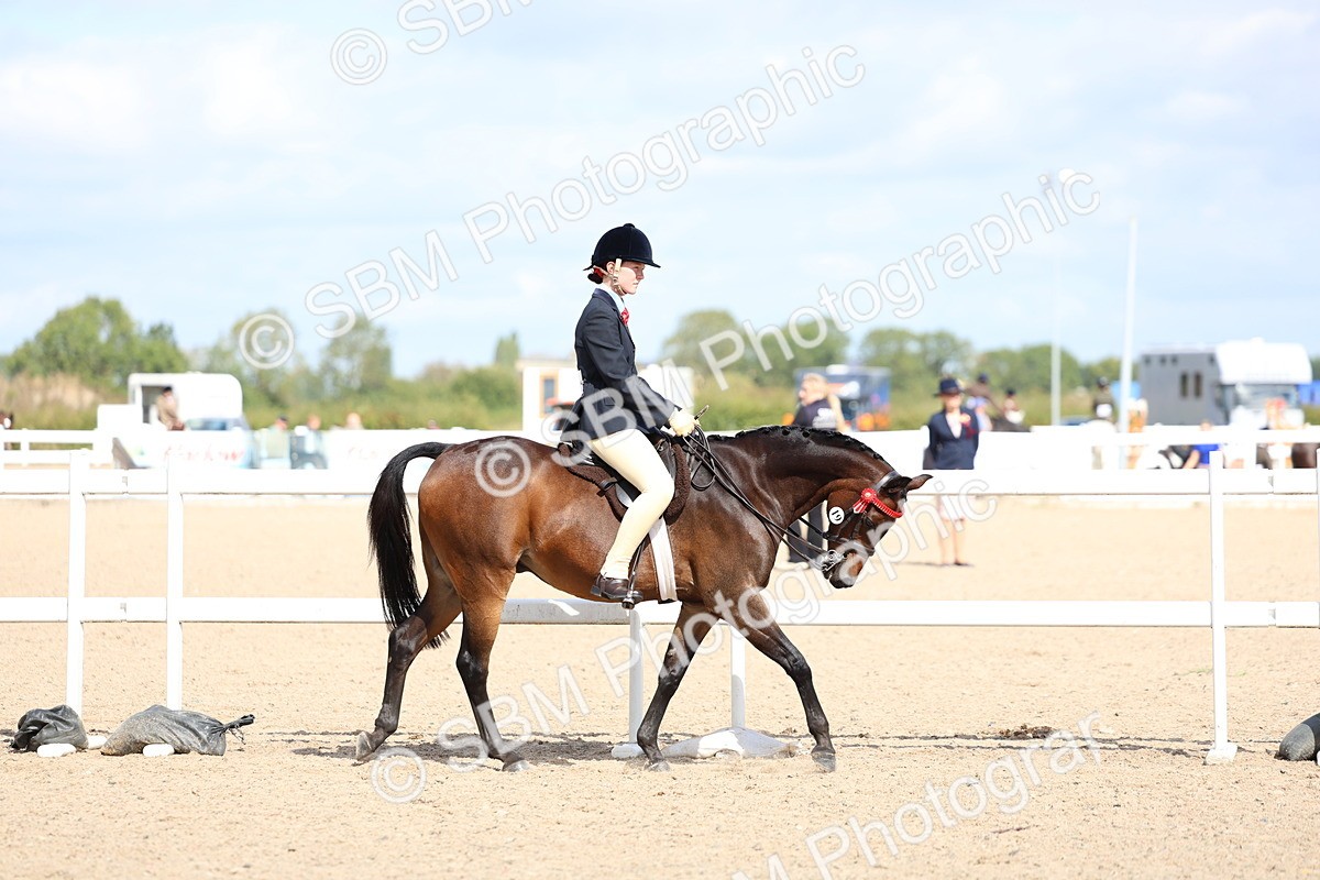 SBM_13253 - Class 311 - Ridden Show Pony Show Hunter Pony