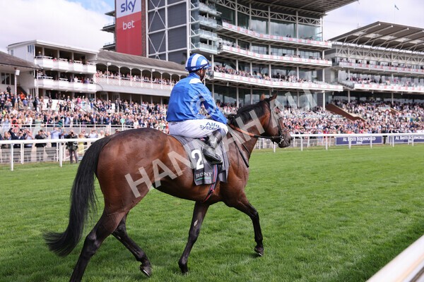 yr17082022r4-95 - Race 4 3.35pm Juddmonte International Stakes (British Champions Series Race)