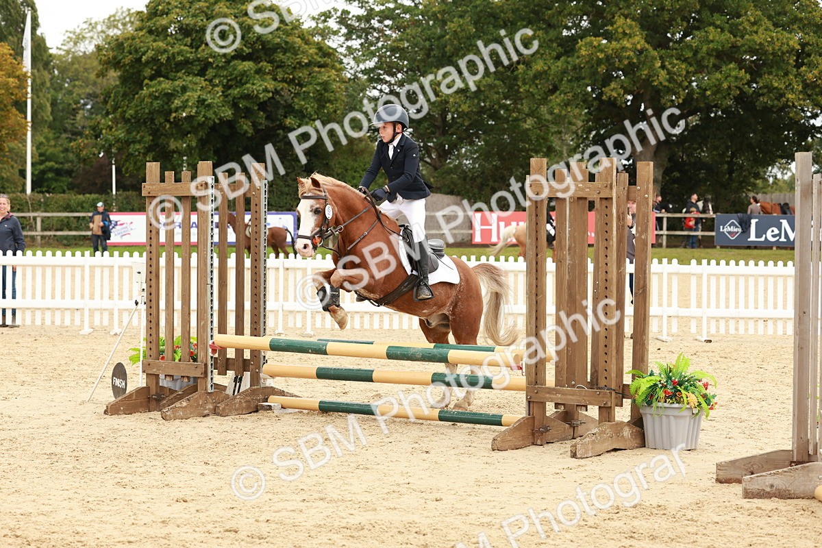 SBM_63595 - J12 - Junior Pony 55cm Championship