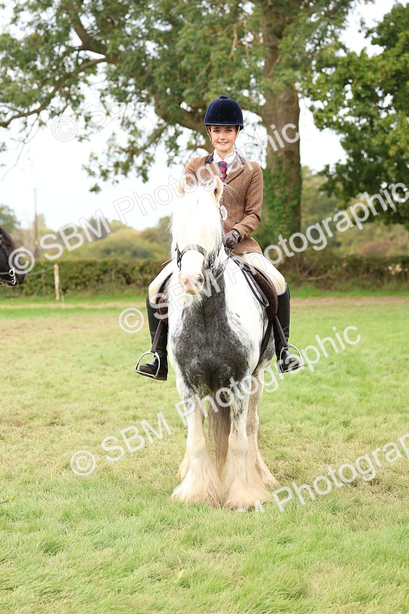 SBM_64447 - S58 - Coloured Pony Ridden