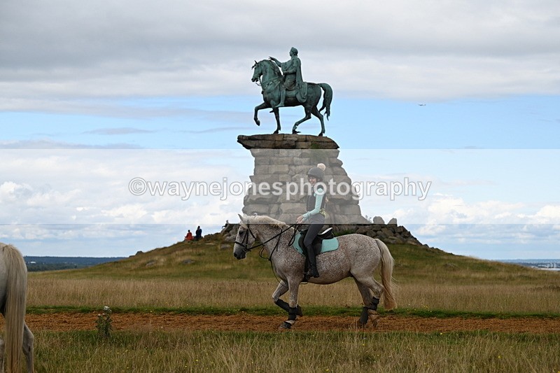 DSC_8638 - Time at Statue 13:52 to 14:33